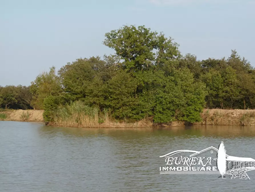 Immagine 15 di Terreno in vendita  a Castiglione Del Lago