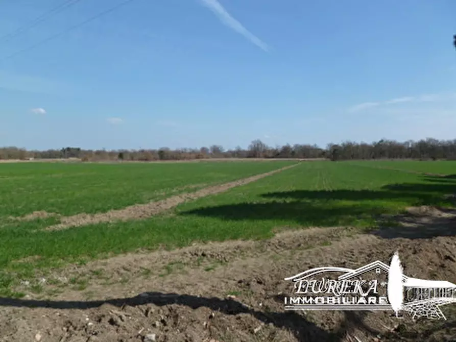 Immagine 16 di Terreno in vendita  a Castiglione Del Lago