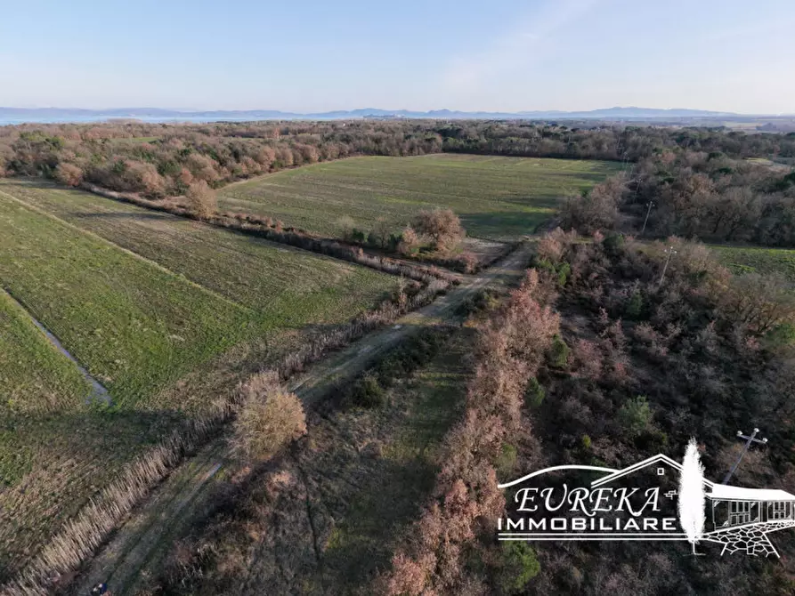 Immagine 17 di Terreno in vendita  a Castiglione Del Lago
