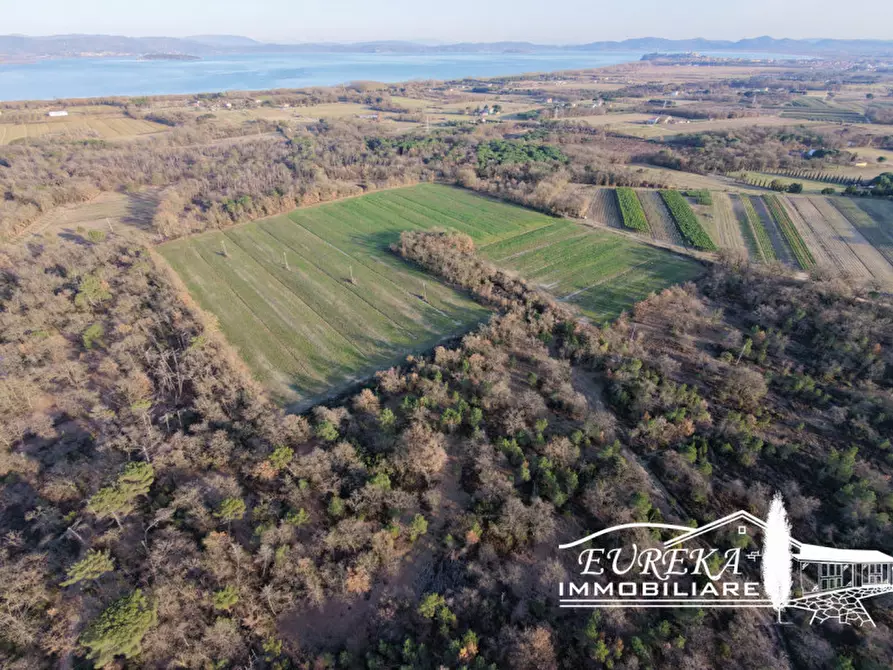 Immagine 18 di Terreno in vendita  a Castiglione Del Lago