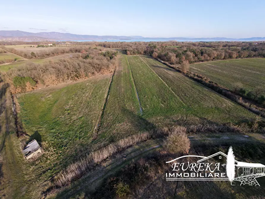 Immagine 19 di Terreno in vendita  a Castiglione Del Lago