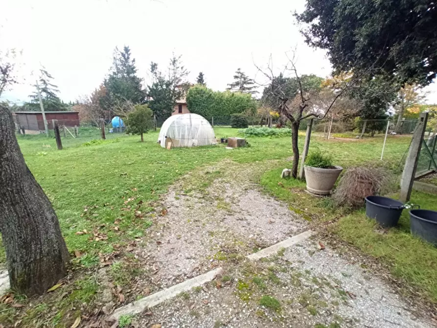 Immagine 26 di Casa indipendente in vendita  in Via Roma a Castiglione Del Lago