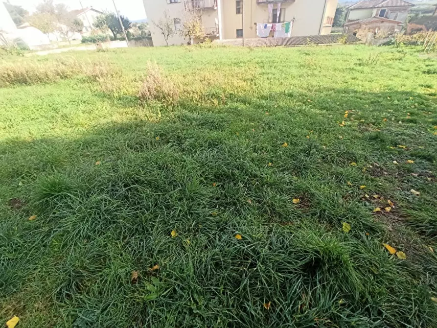 Immagine 2 di Terreno in vendita  in Via Roma a Castiglione Del Lago