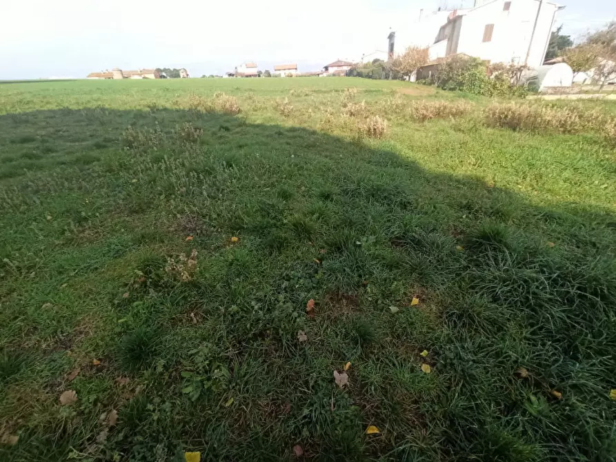 Immagine 4 di Terreno in vendita  in Via Roma a Castiglione Del Lago