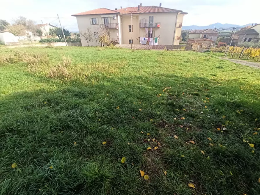 Immagine 5 di Terreno in vendita  in Via Roma a Castiglione Del Lago