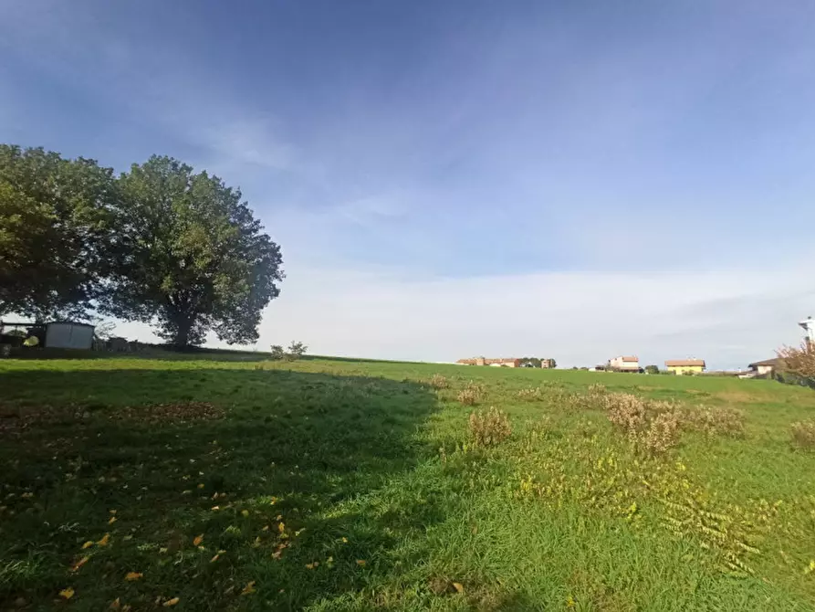 Immagine 6 di Terreno in vendita  in Via Roma a Castiglione Del Lago