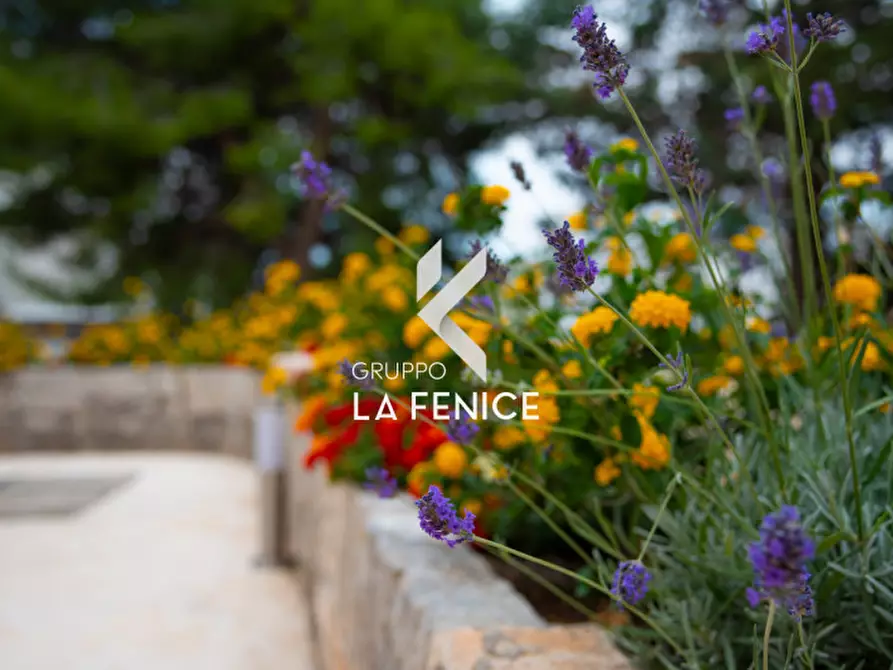 Immagine 49 di Villa in vendita  in via Fasano, 9 a Locorotondo