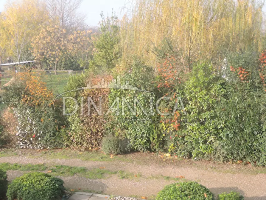 Immagine 32 di Rustico / casale in vendita  a San Giuliano Terme