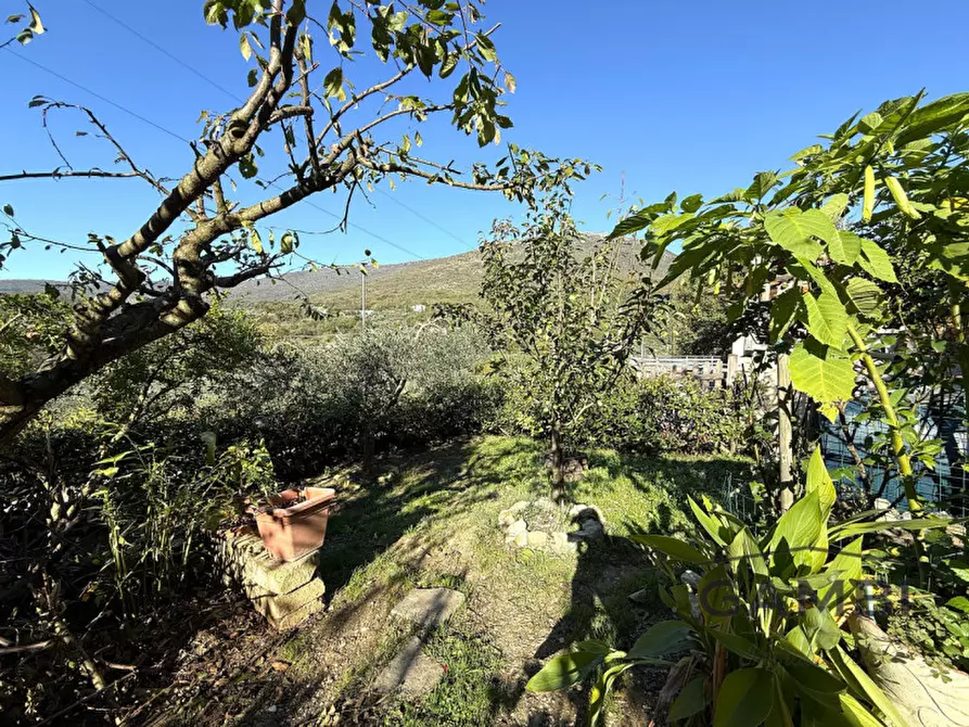 Immagine 41 di Casa bifamiliare in vendita  a Calenzano