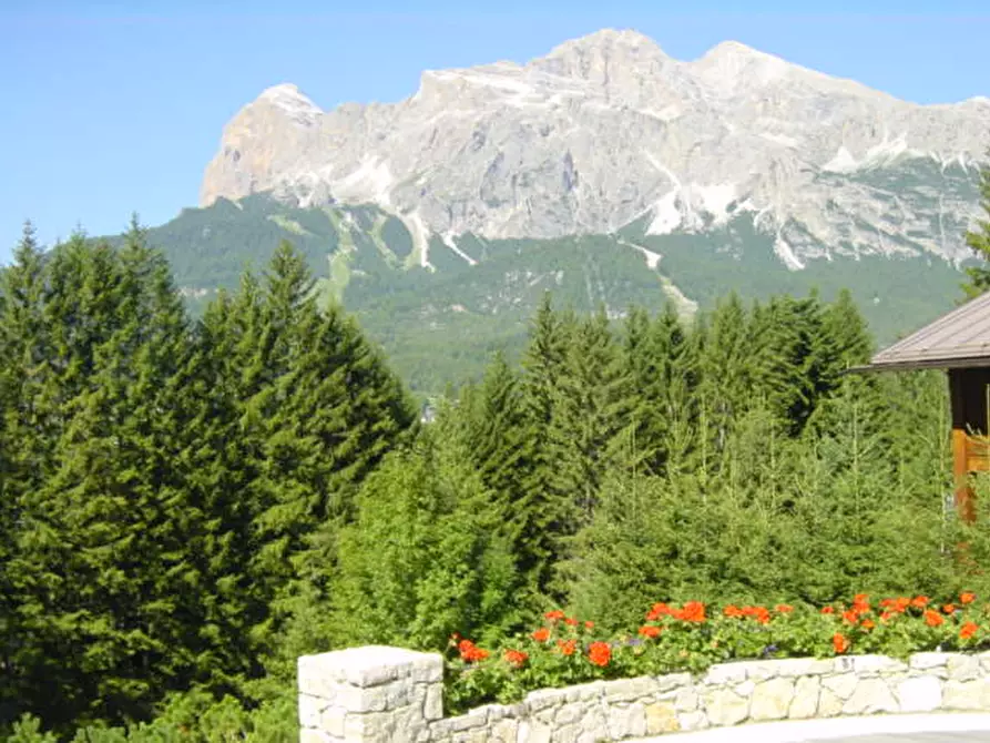 Immagine 11 di Villa in vendita  a Cortina D'ampezzo