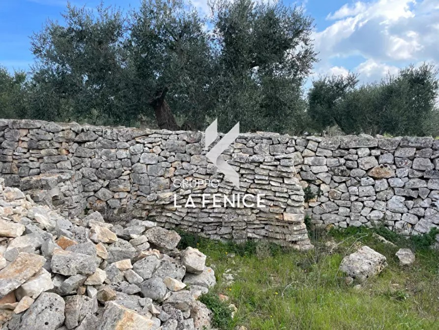 Immagine 24 di Rustico / casale in vendita  in C.DA TIRUNNO a Cisternino