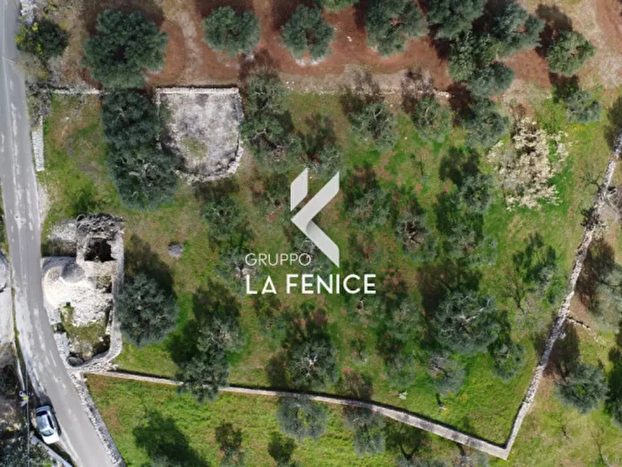 Immagine 31 di Rustico / casale in vendita  in C.DA TIRUNNO a Cisternino