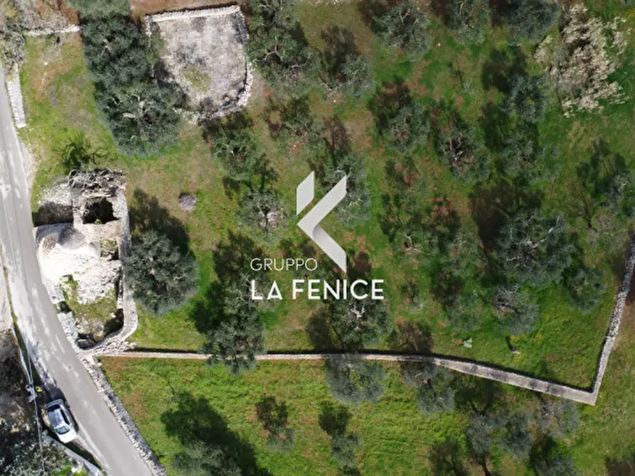 Immagine 32 di Rustico / casale in vendita  in C.DA TIRUNNO a Cisternino