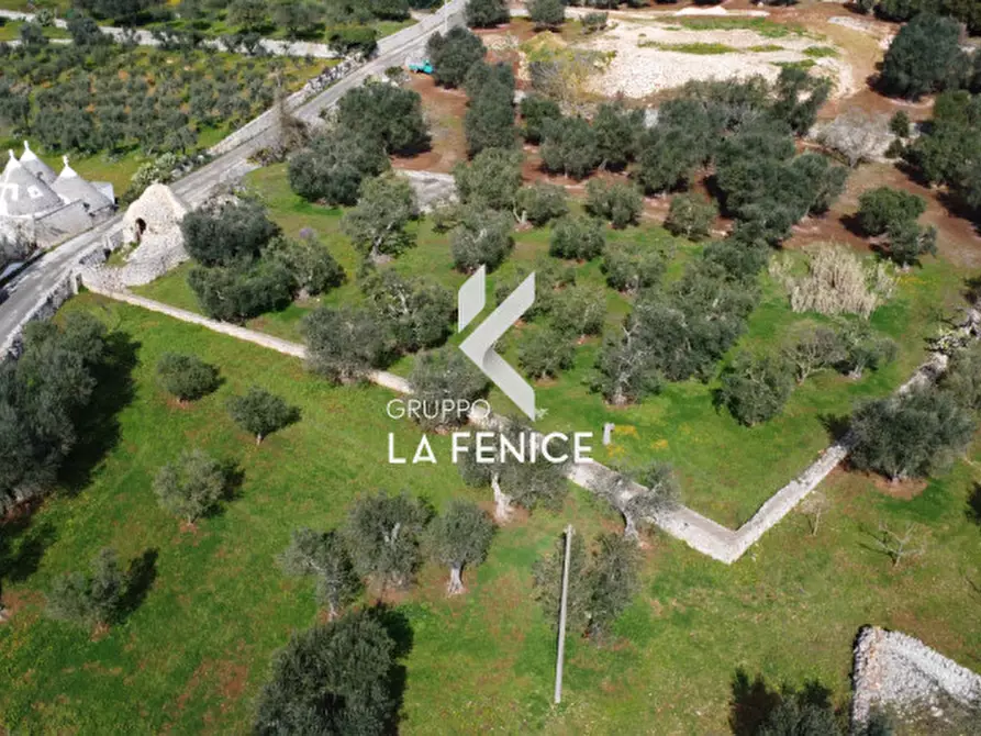 Immagine 34 di Rustico / casale in vendita  in C.DA TIRUNNO a Cisternino