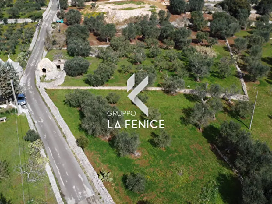 Immagine 35 di Rustico / casale in vendita  in C.DA TIRUNNO a Cisternino