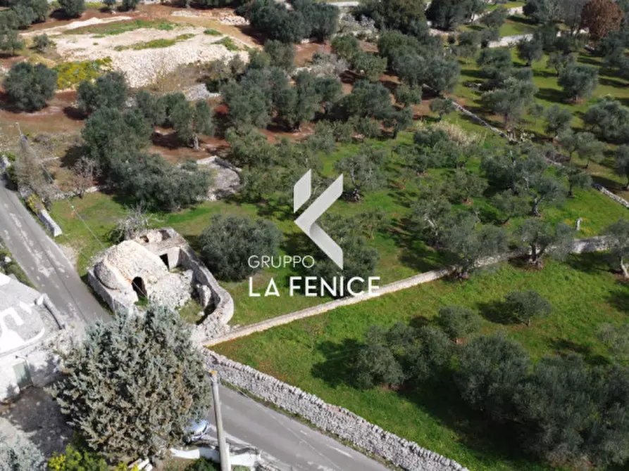 Immagine 36 di Rustico / casale in vendita  in C.DA TIRUNNO a Cisternino