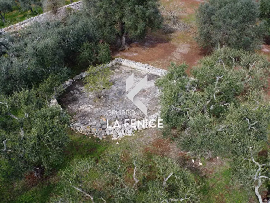 Immagine 44 di Rustico / casale in vendita  in C.DA TIRUNNO a Cisternino