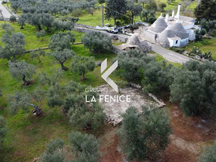 Immagine 46 di Rustico / casale in vendita  in C.DA TIRUNNO a Cisternino