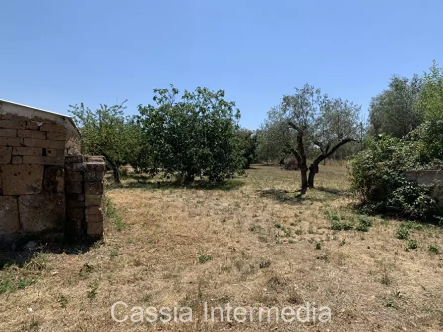 Immagine 2 di Terreno in vendita  in Località Giardino a Castel Sant'elia