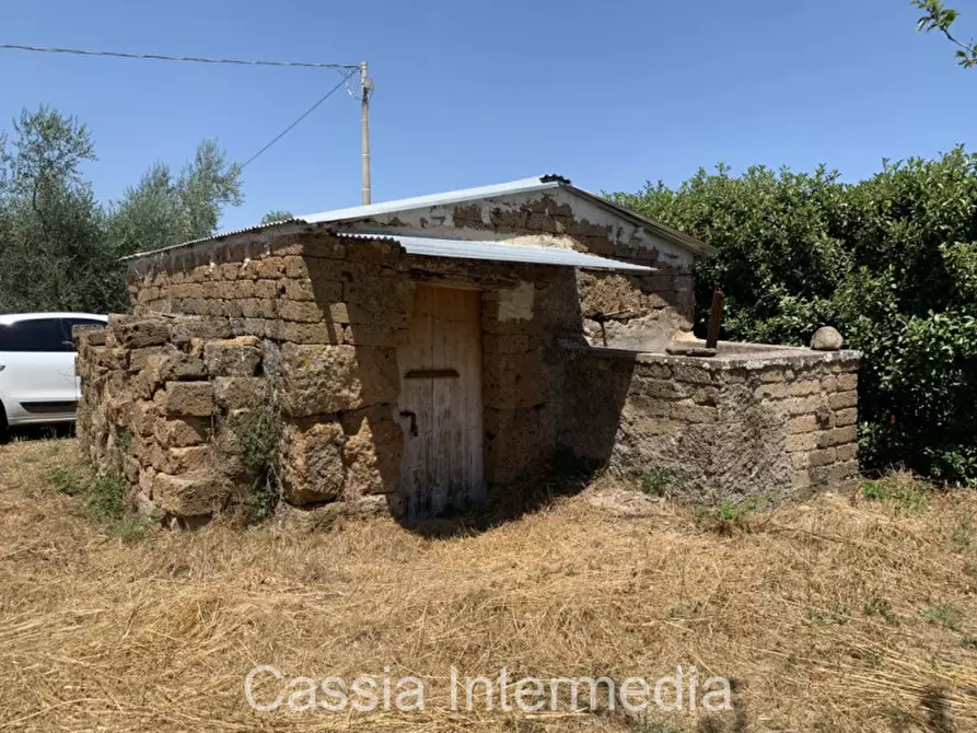 Immagine 7 di Terreno in vendita  in Località Giardino a Castel Sant'elia