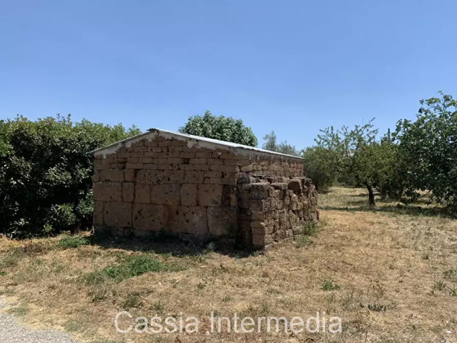 Immagine 9 di Terreno in vendita  in Località Giardino a Castel Sant'elia