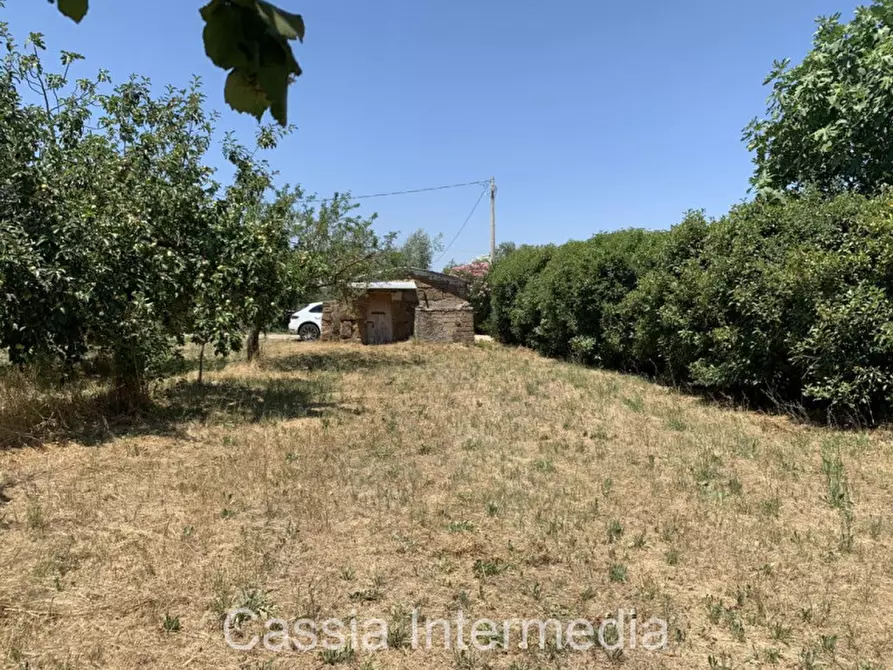 Immagine 10 di Terreno in vendita  in Località Giardino a Castel Sant'elia
