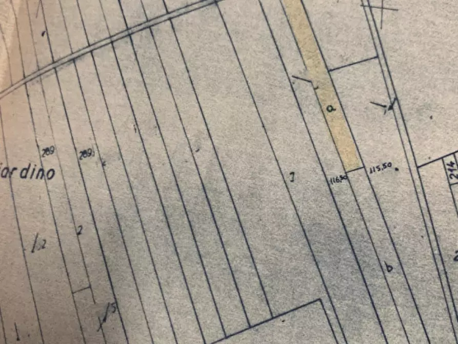 Immagine 18 di Terreno in vendita  in Località Giardino a Castel Sant'elia