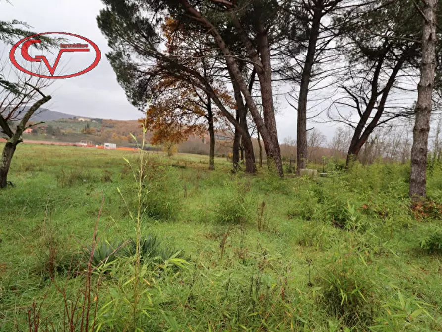 Immagine 4 di Villa in vendita  in ambra a Bucine