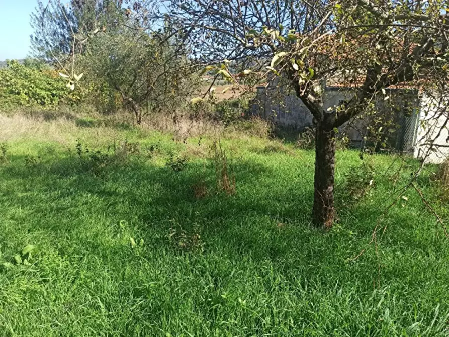 Immagine 10 di Garage in vendita  in Via Roma, Castiglione del lago a Magione