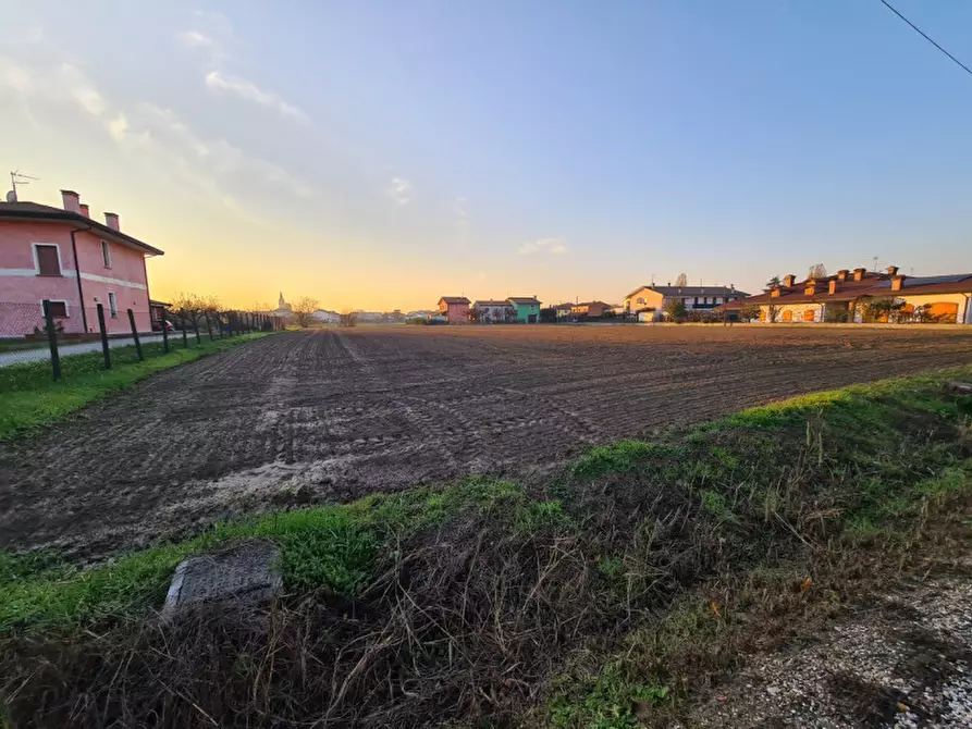 Immagine 4 di Terreno in vendita  in VIA FILIPPI a Ospedaletto Euganeo