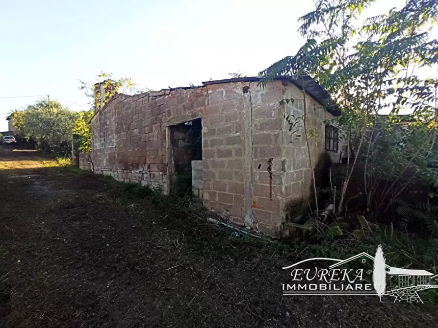 Immagine 3 di Attività commerciale in vendita  in Via Roma a Castiglione Del Lago