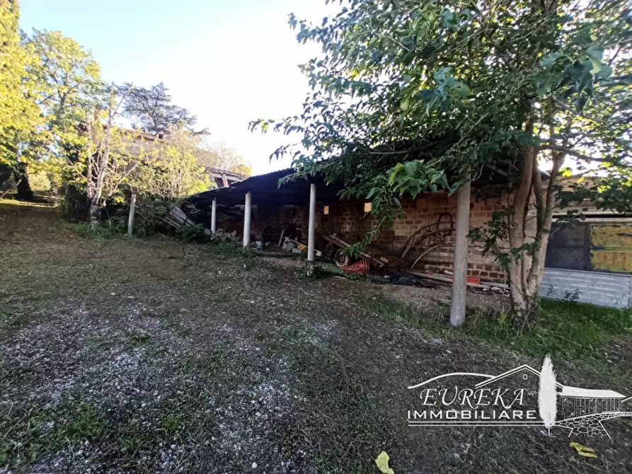 Immagine 4 di Attività commerciale in vendita  in Via Roma a Castiglione Del Lago