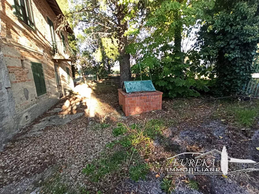 Immagine 5 di Attività commerciale in vendita  in Via Roma a Castiglione Del Lago