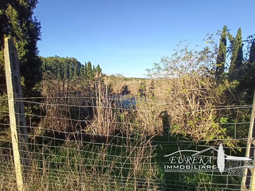 Immagine 6 di Attività commerciale in vendita  in Via Roma a Castiglione Del Lago