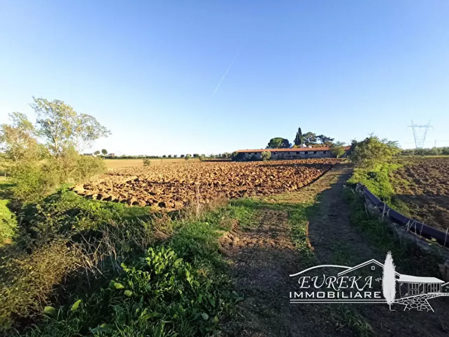 Immagine 7 di Attività commerciale in vendita  in Via Roma a Castiglione Del Lago