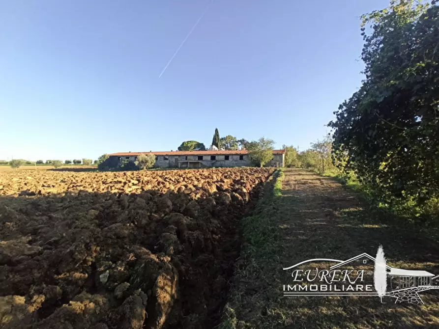 Immagine 8 di Attività commerciale in vendita  in Via Roma a Castiglione Del Lago