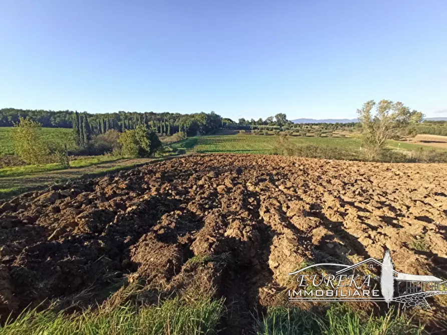 Immagine 9 di Attività commerciale in vendita  in Via Roma a Castiglione Del Lago