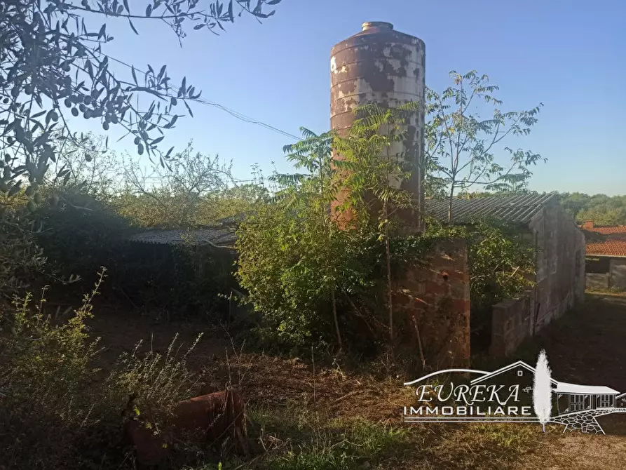 Immagine 10 di Attività commerciale in vendita  in Via Roma a Castiglione Del Lago