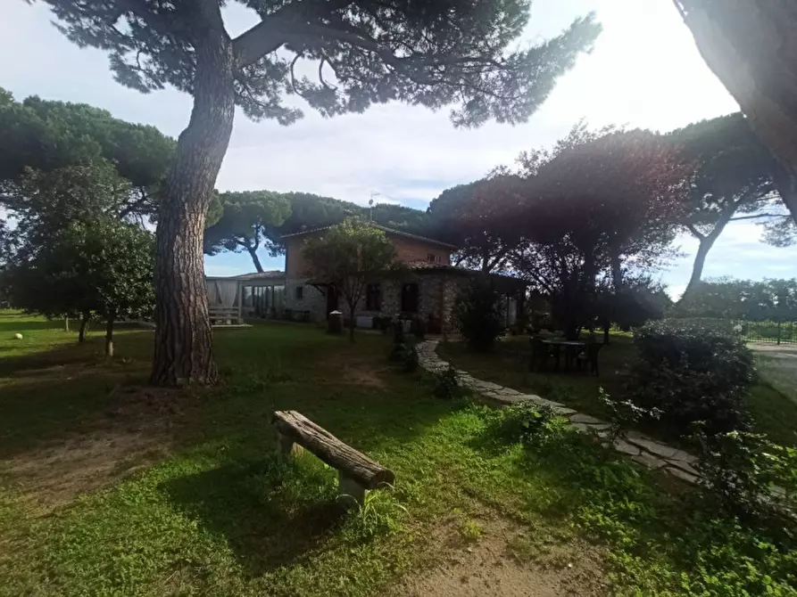 Immagine 20 di Casa indipendente in vendita  in via Roma a Castiglione Del Lago