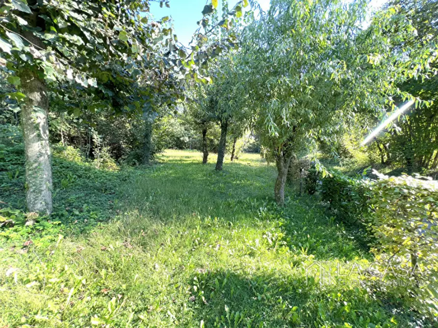 Immagine 21 di Attività commerciale in vendita  a Fanna