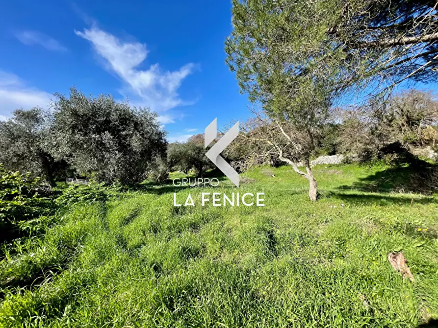 Immagine 11 di Rustico / casale in vendita  in CONTRADA PARCO TALLINAIO a Locorotondo