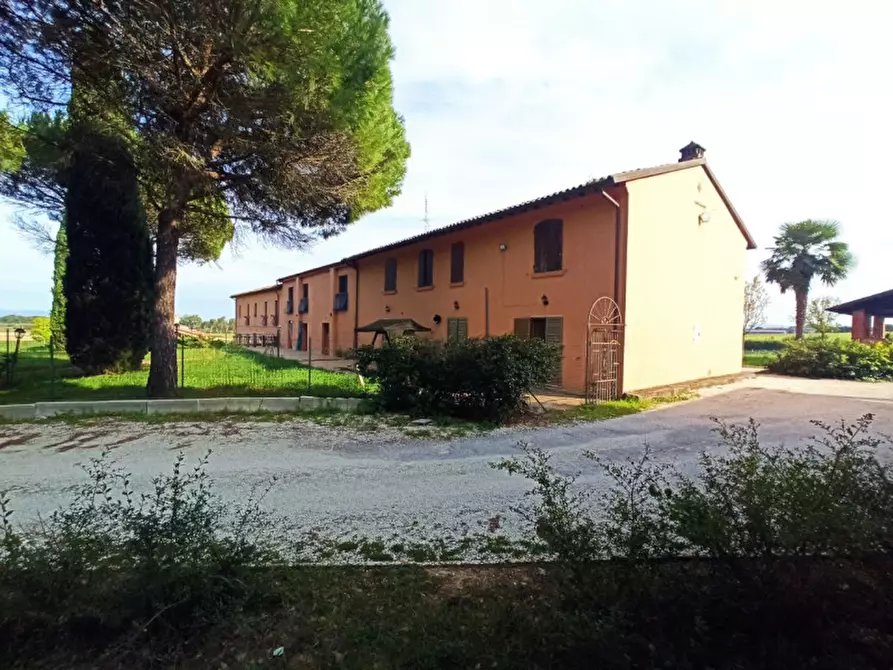 Immagine 3 di Agriturismo in vendita  in via Roma a Castiglione Del Lago