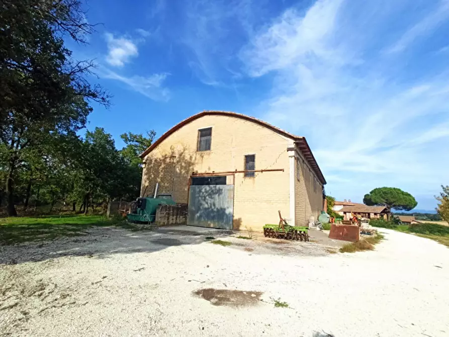 Immagine 15 di Agriturismo in vendita  in via Roma a Castiglione Del Lago