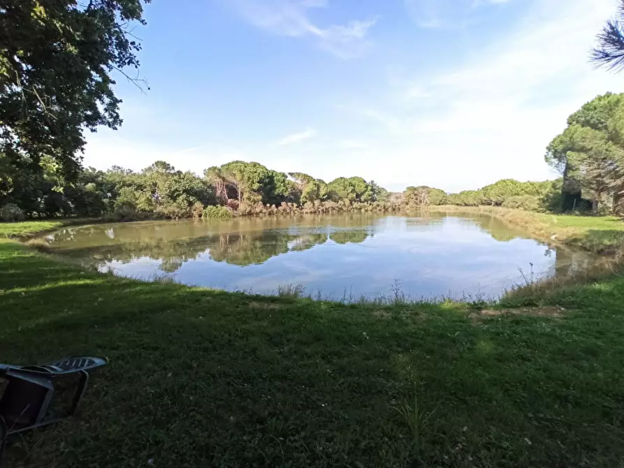 Immagine 16 di Agriturismo in vendita  in via Roma a Castiglione Del Lago