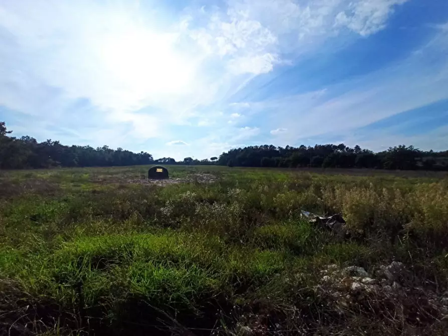 Immagine 18 di Agriturismo in vendita  in via Roma a Castiglione Del Lago