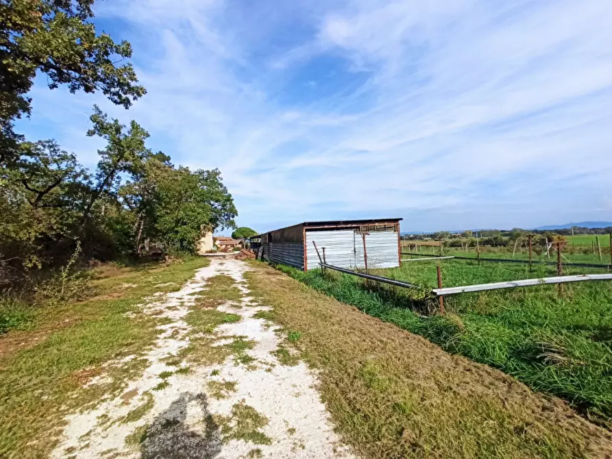 Immagine 20 di Agriturismo in vendita  in via Roma a Castiglione Del Lago