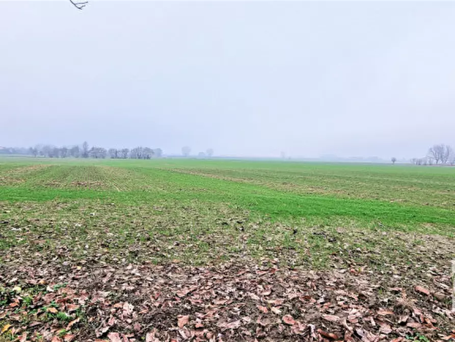 Immagine 28 di Casa indipendente in vendita  in via Arzaron a Este