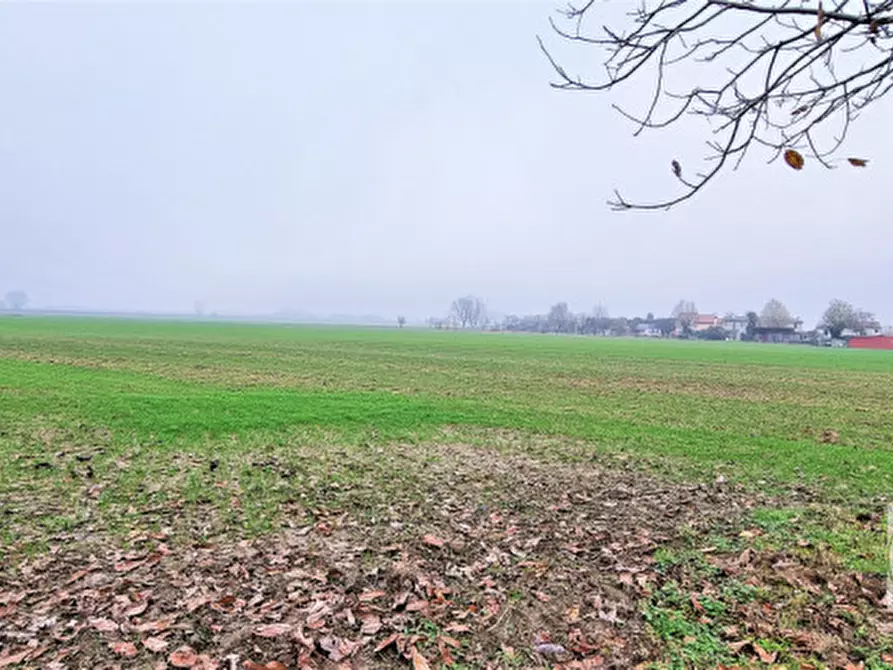 Immagine 29 di Casa indipendente in vendita  in via Arzaron a Este