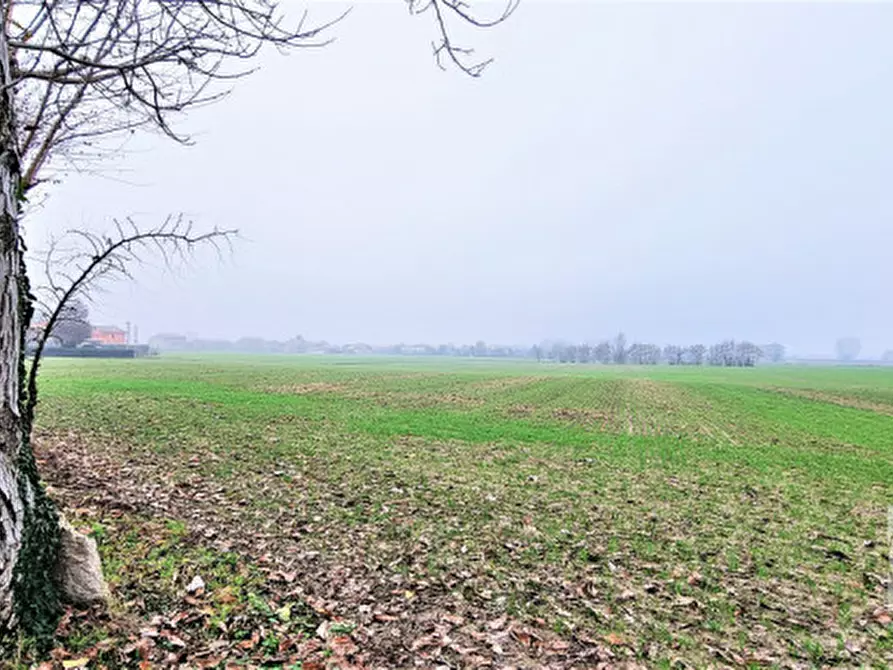 Immagine 30 di Casa indipendente in vendita  in via Arzaron a Este