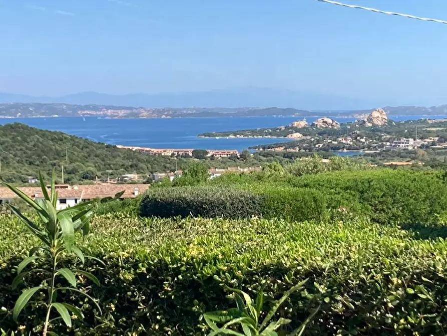 Immagine 1 di Villa in vendita  a Arzachena